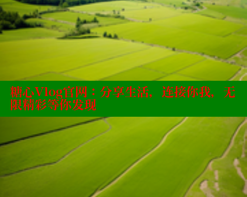 糖心Vlog官网：分享生活，连接你我，无限精彩等你发现