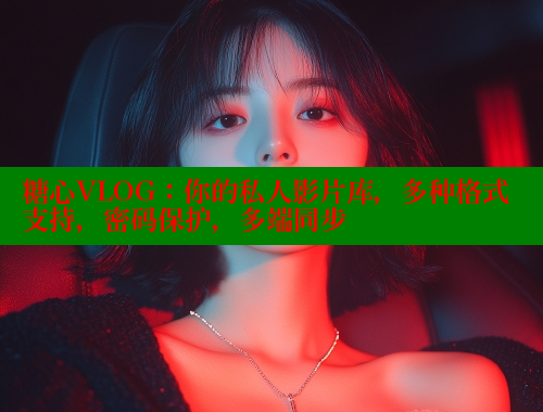 糖心VLOG：你的私人影片库，多种格式支持，密码保护，多端同步