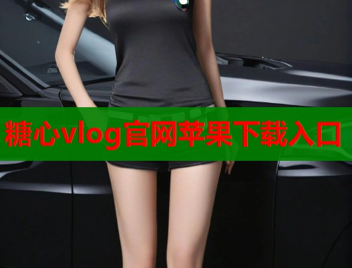 糖心vlog官网苹果下载入口