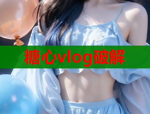 糖心vlog破解