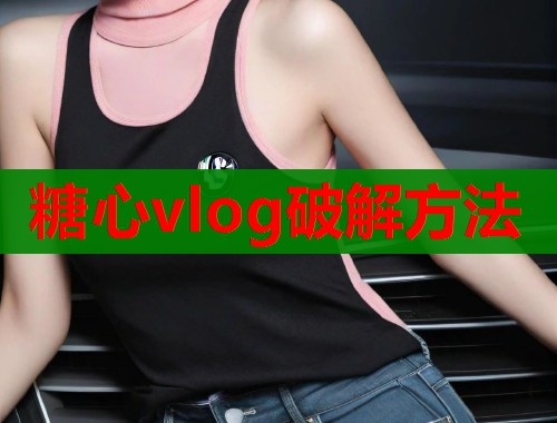 糖心vlog破解方法