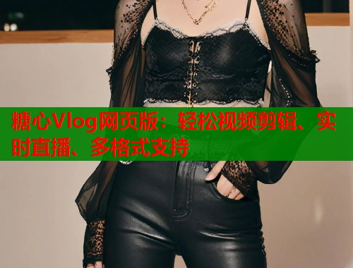 糖心Vlog网页版：轻松视频剪辑、实时直播、多格式支持