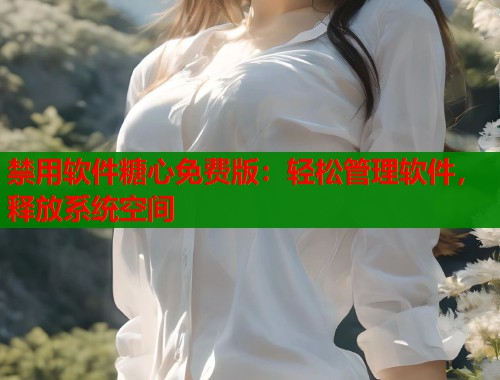 禁用软件糖心免费版：轻松管理软件，释放系统空间